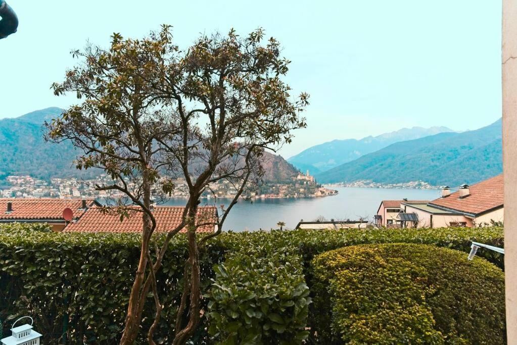 Apartmán Miralago Lugano Sporting Club Cuasso Al Monte Exteriér fotografie